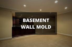 Basements are the preferred spots for black mold to grow. How To Remove Mold From Basement Wall Mold Remediation