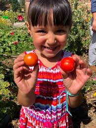 Our Garden — Denver Green School