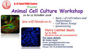 Check spelling or type a new query. Perd Centre Animal Cell Culture Workshop 10 To 12 October 2018