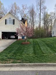 Maybe you would like to learn more about one of these? Green Stripes Lawn Care