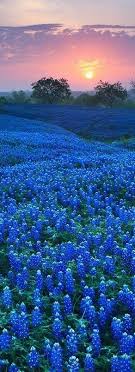 10 Quiet Escapes In Houston Texas Beautiful Nature Scenery Landscape