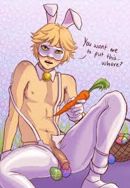 Rule34 - If it exists, there is porn of it  bludwing, adrien agreste, cat  noir, chat noir, easter bunny  2801302