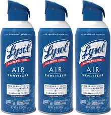 Does Lysol Kill Mold? | Mold Removal Tips | Maid 4 Cleaning