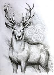 Original Deer Art Stag Pencil Drawing Graphite Home Decor Illustration Animal Art Gift Wall Decor Deer Art Deer Drawing Pencil Drawings Of Animals