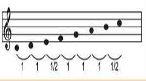 Maybe you would like to learn more about one of these? Kunci Jawaban Tema 7 Kelas 6 Halaman 37 38 39 40 41 42 43 44 Pembelajaran 5 Subtema 1 Tribun Pontianak