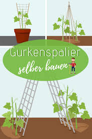 Gurken Klettern Gern Dafur Benotigen Sie Eine Stutze Wie Sie Diese Ganz Einfach Selbst Bauen Konnen Erfahre Rankhilfe Gurken Rankhilfe Rankhilfe Selber Bauen