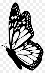 Profile Clipart Butterfly Pencil And In Color Profile Butterfly Drawing Side View Free Transparent Png Clipart Images Download This butterfly collage was created in multiple steps.