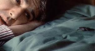 One Minute Volume 7 screenings at The Projection Rooms