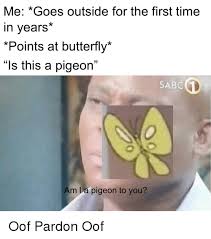 Pin On Memes And Stuff