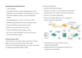 Können dazu verwendet werden, mit hilfe einer für ein. Molekularbiologie 3 Sem 2 Wie Findet Man Ein Bestimmtes Gen Membran Hybridisierung In Southern Blot Sir Edward Southern Verschiedene Sonden Kurze Verfahren Studocu