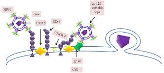 Image result for Nucleoside Reverse Transcriptase Inhibitor