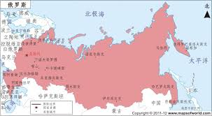 在貝加爾湖當地發生抗議的同時, 反對瓶裝水廠的呼聲得到了俄羅斯高層的回應。 總理梅德韋傑夫下令按照最高的生態標凖檢查在貝加爾湖建設工廠項目。 此後, 調查發現水廠可能違規，建設工程已經暫停。 貝加爾湖在中俄關係中比較敏感。 ä¿„ç½—æ–¯å¤§çº²åœ°å›¾