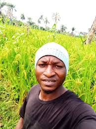 My today's harvest, thank you Lord