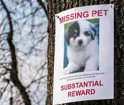 Maybe you would like to learn more about one of these? Family Pet Hospital Myfamilypetvet Twitter