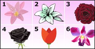 We did not find results for: Choose The Most Beautiful Flower And Discover A Beautiful Secret About Your Personality