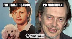 Ešte stále si myslíš, že tráva je v pohode? Maroškovi želáme krásnu sobotu  :)