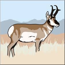 The trinket can be bought by the player after they have sold the legendary pronghorn horn to a fence. Clip Art Pronghorn Color 1 I Abcteach Com Abcteach