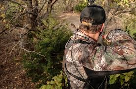 There are obvious differences between the soybean and the clover food plots. The Best 5 Food Plots To Plant This Year Bone Collector