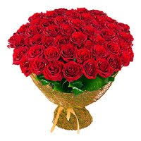 We did not find results for: Send Rakhi With Rose Flowers To India Online Rakhi Gifts Delivery