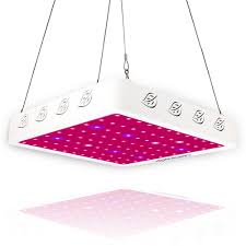 We did not find results for: Castnoo 800w Led Grow Light Full Spectrum Indoor Hydro Veg Flower Grow Panel Shopee Malaysia
