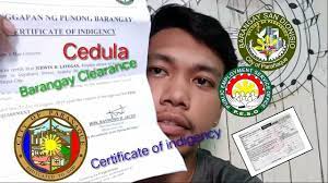 (a) the application must include, at a minimum, the following financial information: Grabe Bigyan Nyo Ng Pansin Sistema Barangay Sandionio Paranaque Certificate Of Indigency Youtube