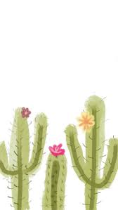 You can also upload and share your favorite cute aesthetic cactus wallpapers. Wallpaper Hd Aesthetic Cactus Wallpapers Top Free Aesthetic Cactus Fashionsista Co