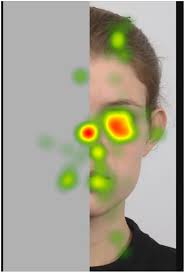 Image result for Visual Fixation