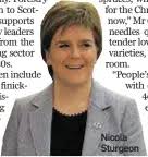 Laying deep roots for Scots Christmas trees