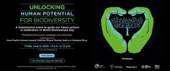 Discover a new way to endless perks, all at your fingertips with vivorewards. Blog En Vivo