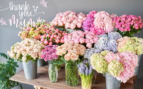 Maybe you would like to learn more about one of these? Florist Melbourne Cbd Online Flower Delivery Melbourne Same Day