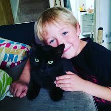 Enter Raffle to Win YCF Christmas Draw hosted by Yorkshire Cricket  Foundation