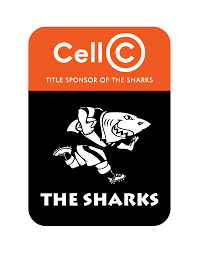 Who would win in a fight between a shark and a lion? Lions Vs Cell C Sharks Match Preview The Sharks