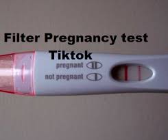 Cara menggunakan test pack kehamilan. Filter Pregnancy Test Tiktok Cara Dapatkan Filter Pregnancy Test Filter Instagram Dan Tiktok Lajurnews