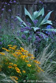 We did not find results for: Dusky Blues In The Garden Laptrinhx News
