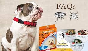 How do flea collars work. Faqs Flea And Tick Collars Canadapetcare Blog