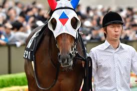 (c96) ほるもんカレー (鳶村) 指揮官のせいだから (少女前線) 英訳. å¹³å®‰ã‚¹ãƒ†ãƒ¼ã‚¯ã‚¹2018ã®æœ€æ–°äººæ°— äºˆæƒ³ã‚ªãƒƒã‚º å‡ºèµ°äºˆå®šé¦¬ã¯ éŽåŽ»ã®æ­´ä»£å‹ã¡é¦¬ä¸€è¦§