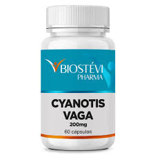 Image result for Cyanotis vaga