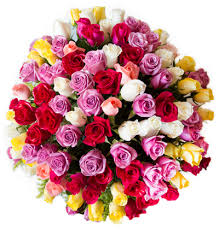 Send flowers to cancun mexico. Home