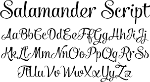 Salamander Script Font By Fenotype Font Bros Hand Lettering Fonts Lettering Alphabet Lettering Fonts