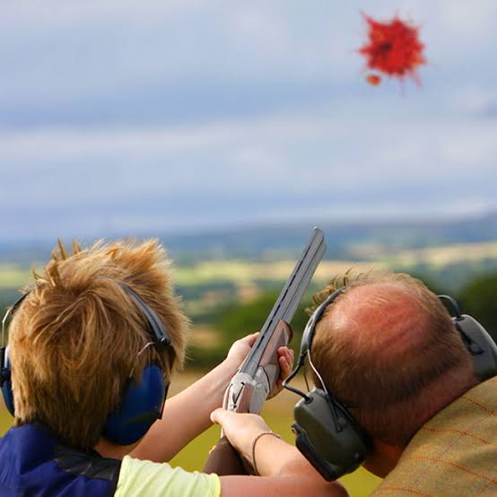 Color Targets Clay Pigeons for Target Practice | Colorfly