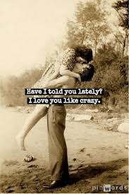 Love You Like Crazy Love You Like Crazy Love And Marriage Told You So