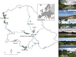 Check spelling or type a new query. Group Model For Evaluating The Importance Of Ramsar Sites In Vojvodina Province Of Serbia Springerlink