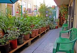 Hasil gambar untuk desain taman minimalis samping rumah