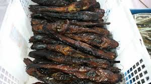 We did not find results for: Unik Cara Mudah Pembuatan Ikan Salai Lele Yang Berkualitas Tinggi