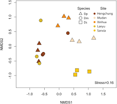 Image result for Didymoplexis