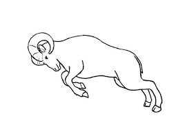 How To Draw A Charging Ram Step By Step – Easy Animals 2 Draw