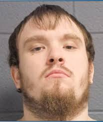 Chesaning man pleads to CSC charges