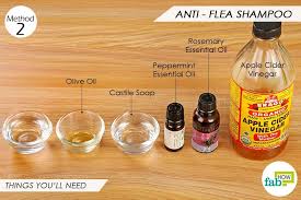 3 Diy Homemade Dog Shampoo Recipes For A Shiny Glossy Coat Fab How Homemade Dog Shampoo Dog Shampoo Dog Shampoo Recipe