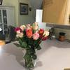 Send flowers in berthoud today and find out why avas flowers is the best choice for flower delivery in all of larimer county, colorado. Top 939 Avas Flowers Reviews Page 8