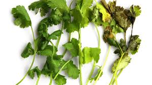 Parsley can get yellow and limp quite quickly, especially if it's not stored properly. The Best Way To Store Fresh Herbs